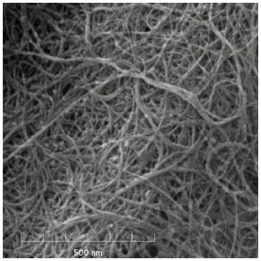 nanotubo de carbono de parede múltipla